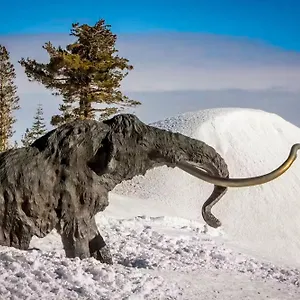 La Vista Blanc , Mammoth Lakes United States
